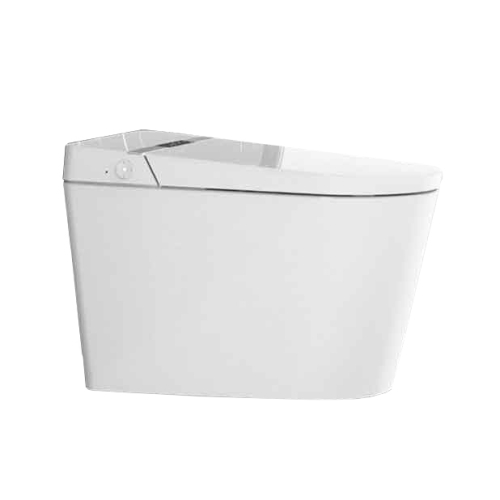 G-15 TANKLESS SMART TOILET